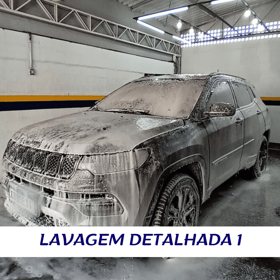 Lavagem Detalhada 1