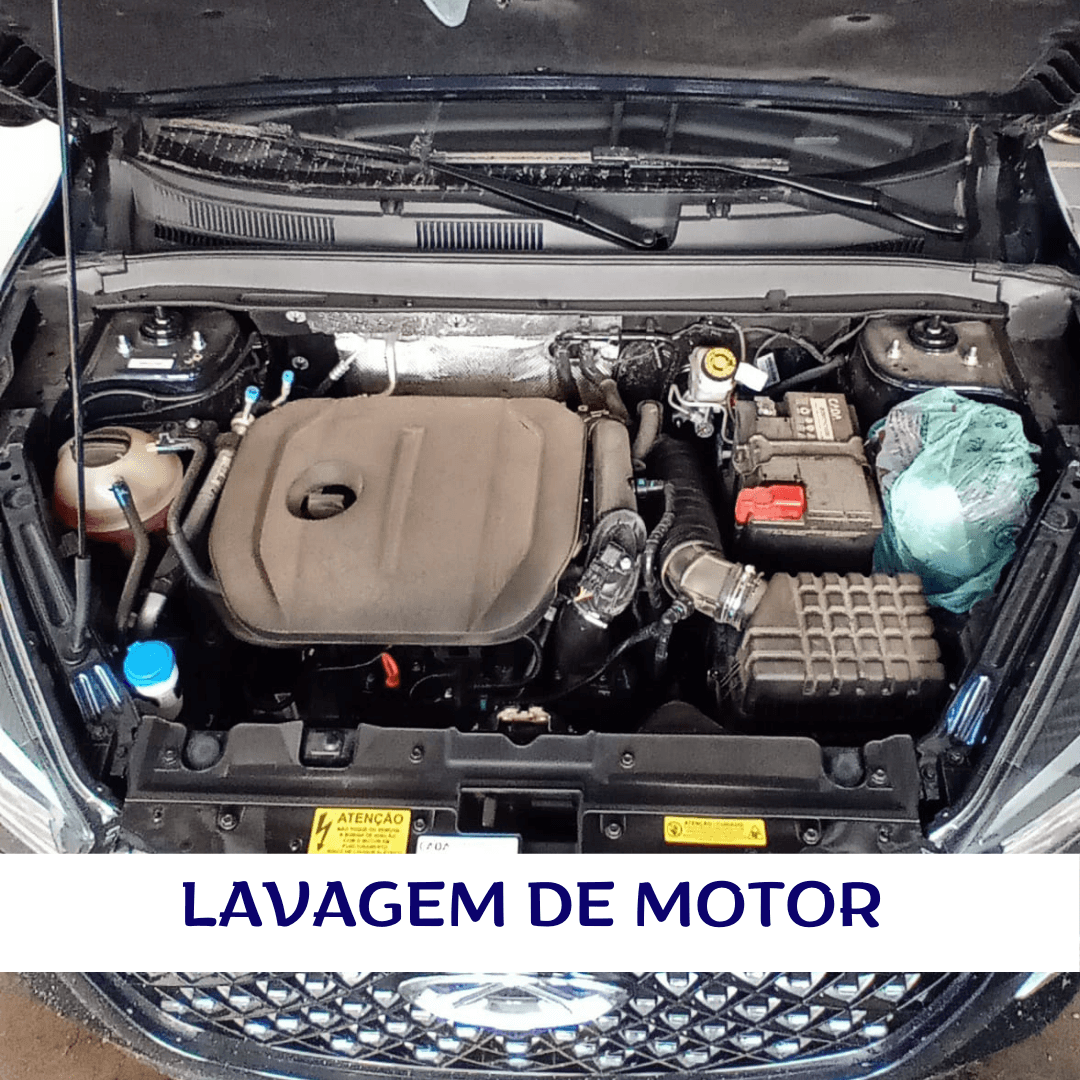 Lavagem Detalhada de Motor