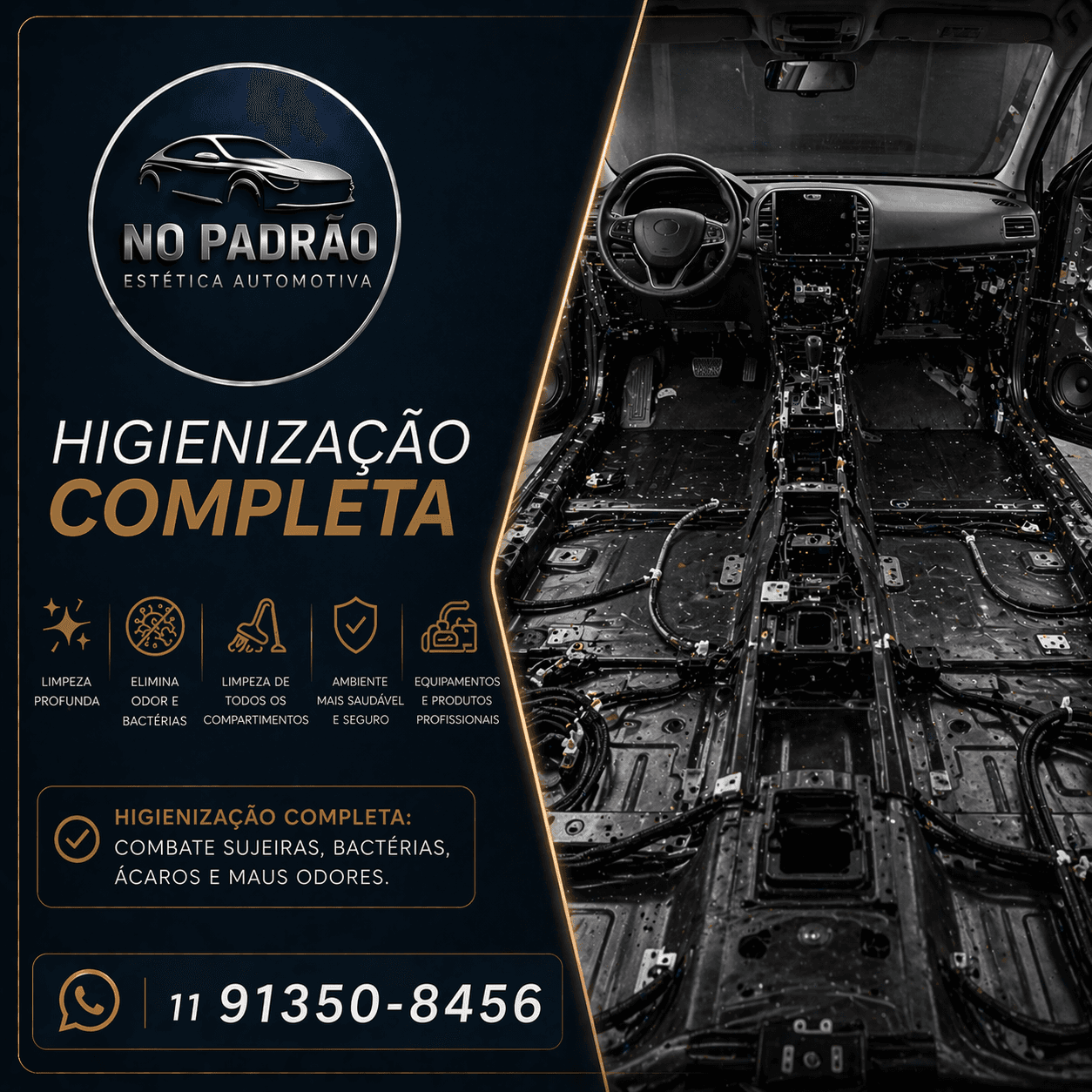 Higienização Interna Completa